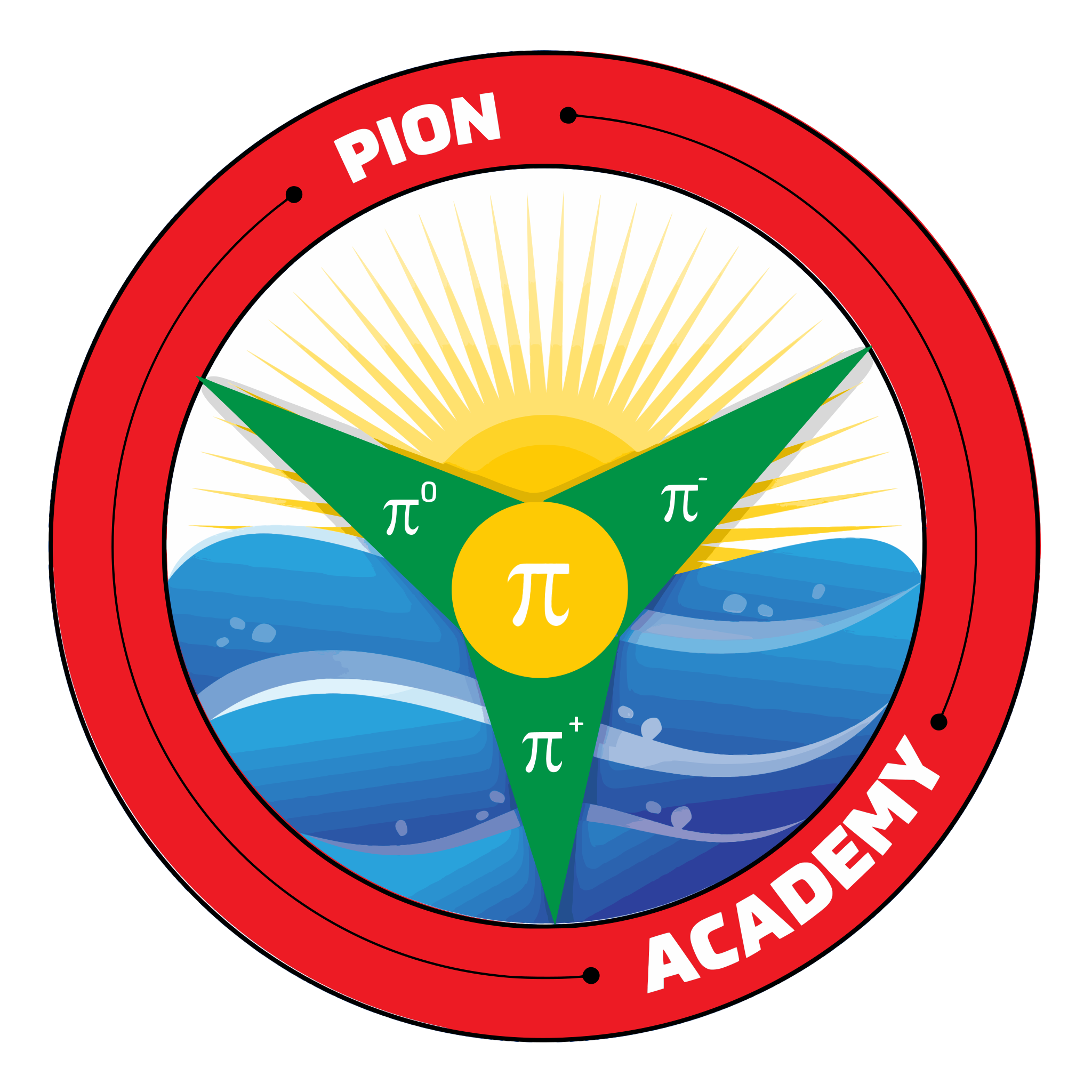 PION Academy